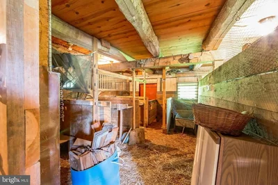 Thumbnail 50