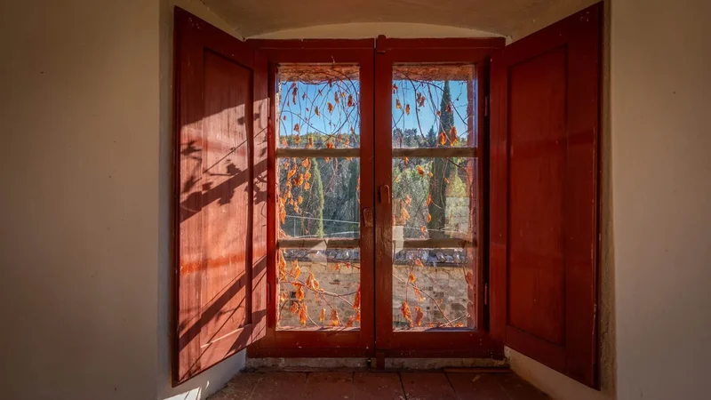 53013 Gaiole in Chianti, Province of Siena, Italy, Castagnoli, Tuscany, Italy. - Photo 40