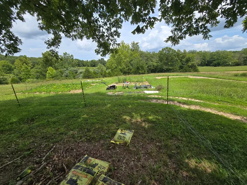 299 Hwy T, Oldfield, MO 65720, Oldfield, Missouri, United States. - Photo 8