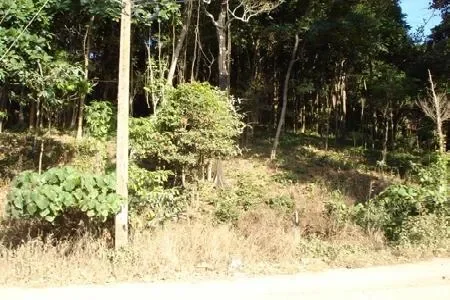 Koh Lanta,, Ko Lanta Yai, Krabi, Thailand. - Photo 2