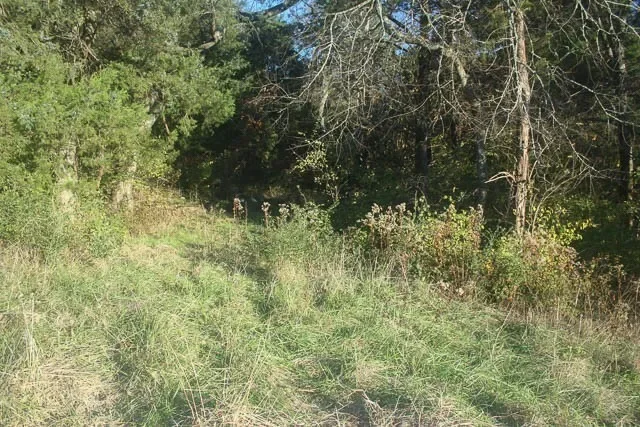 0 Peytonsville Rd, Franklin, TN 37064, Franklin, Tennessee, United States. - Photo 23
