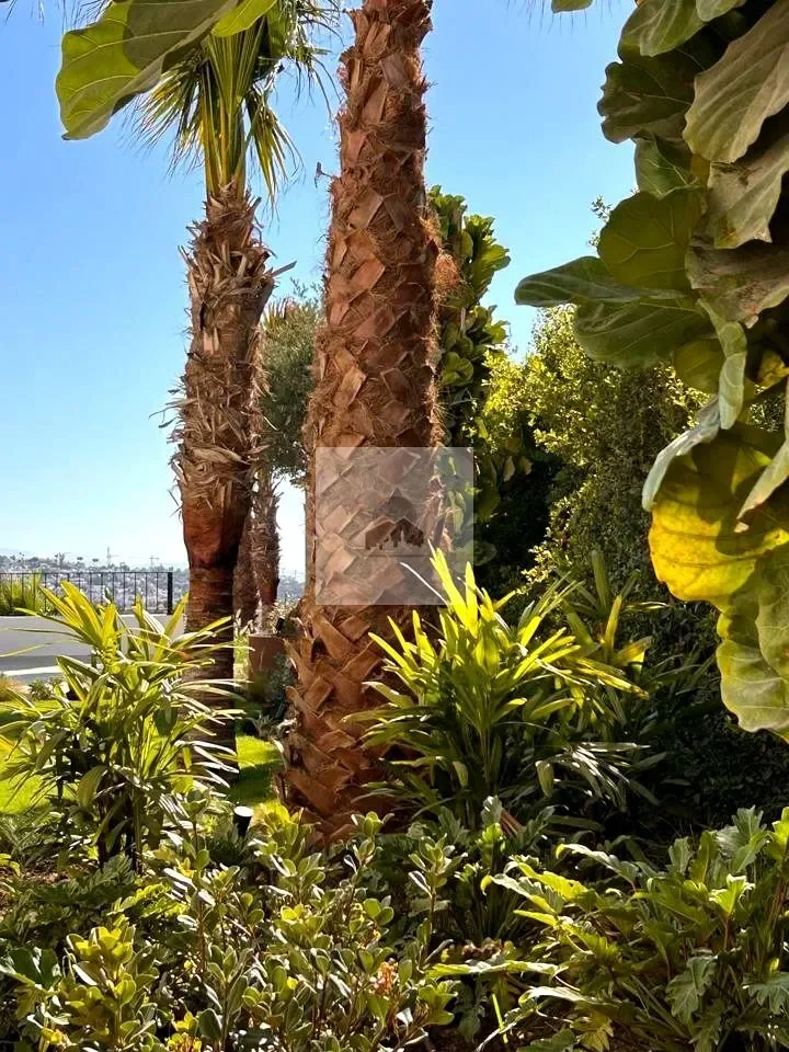 Calle del Aire, 29693, La Gaspara, Málaga, La Gaspara, Estepona, Andalusia, Spain. - Photo 10