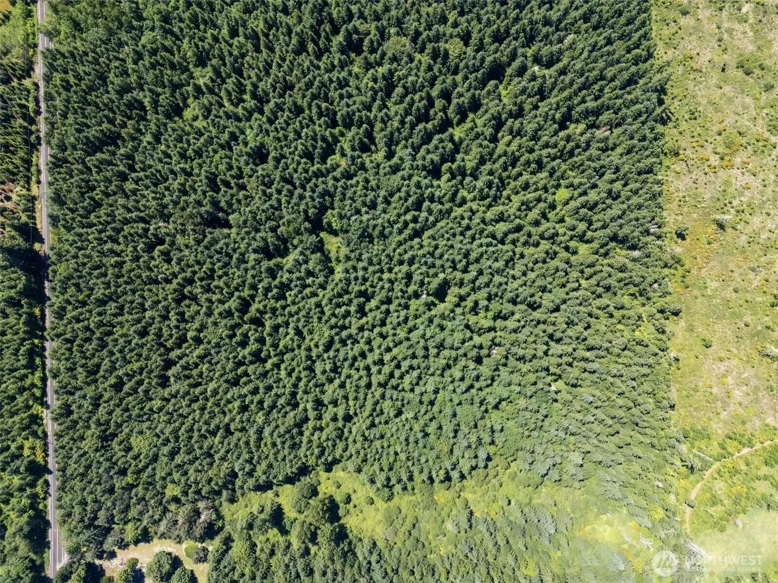 0 Kiser, Ethel, WA 98542, Chehalis, Washington, United States. - Photo 9