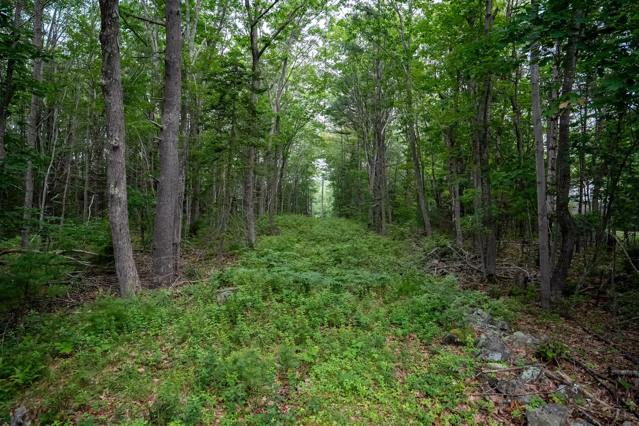 Wildes District Road, Kennebunkport, ME 04046, Kennebunkport, Maine, United States. - Photo 6