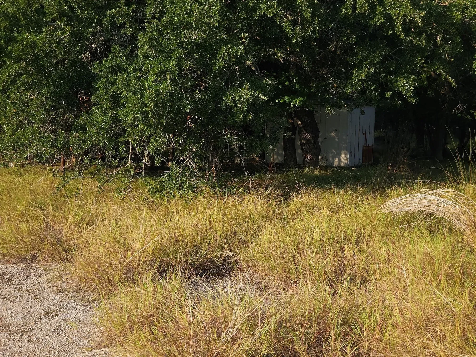 2217 Downing LN, Leander, Texas, United States. - Photo 12