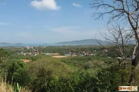 Phuket,, Chalong, Phuket, Thailand. - Photo 3