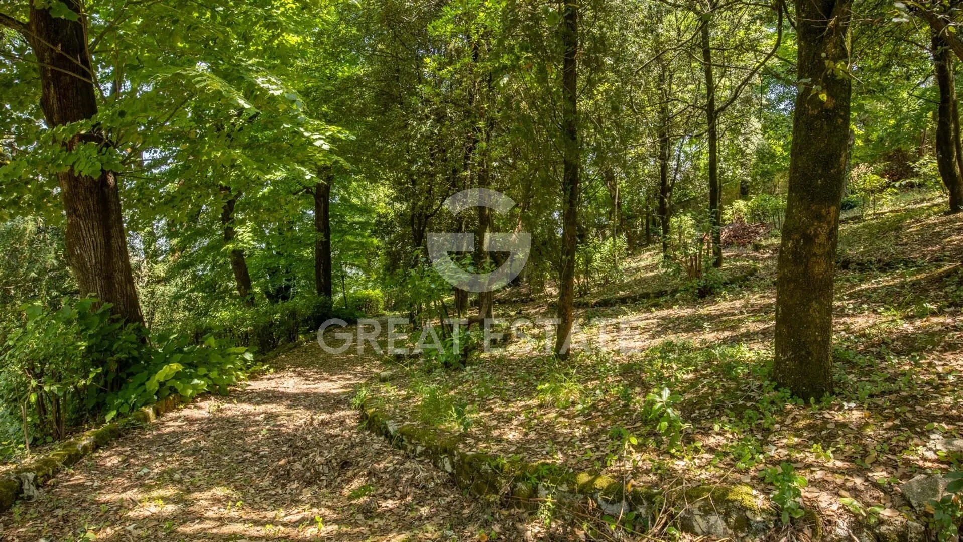 Umbria, San Gemini, Umbria, Italy. - Photo 9