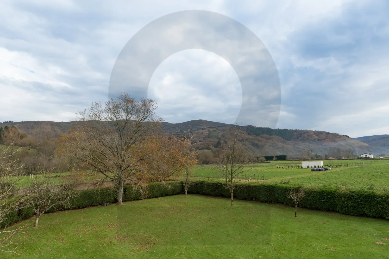 Gallery photo 6