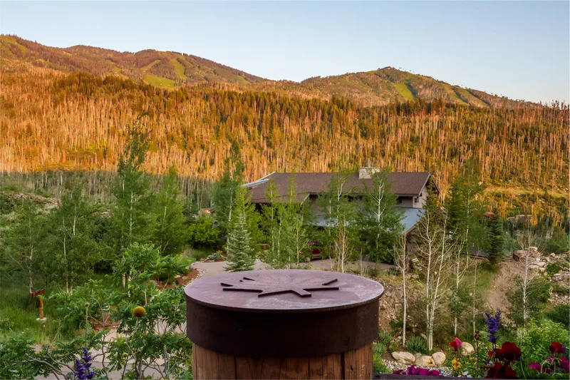 2990 Heavenly View, Steamboat Springs, CO 80487, Steamboat Springs, Colorado, United States. - Photo 18