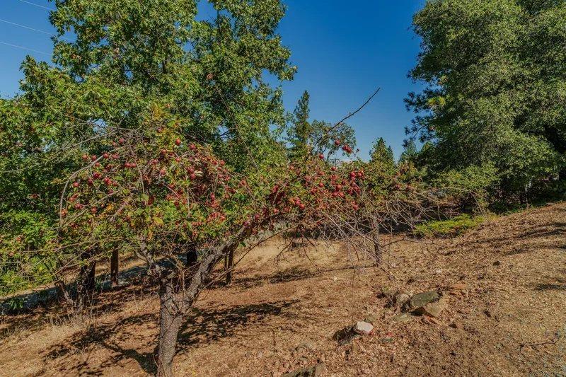 17900 Holly Road , Fiddletown, CA 95629, Fiddletown, California, United States. - Photo 74