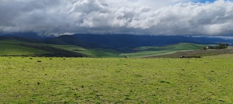 Caledon, Western Cape, South Africa. - Photo 9