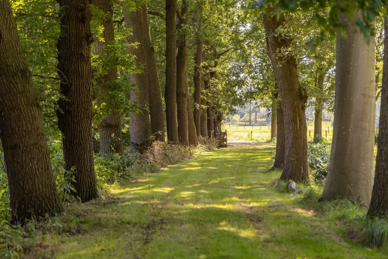 Hupselse Esweg 3, Eibergen, Gelderland, Netherlands. - Photo 42