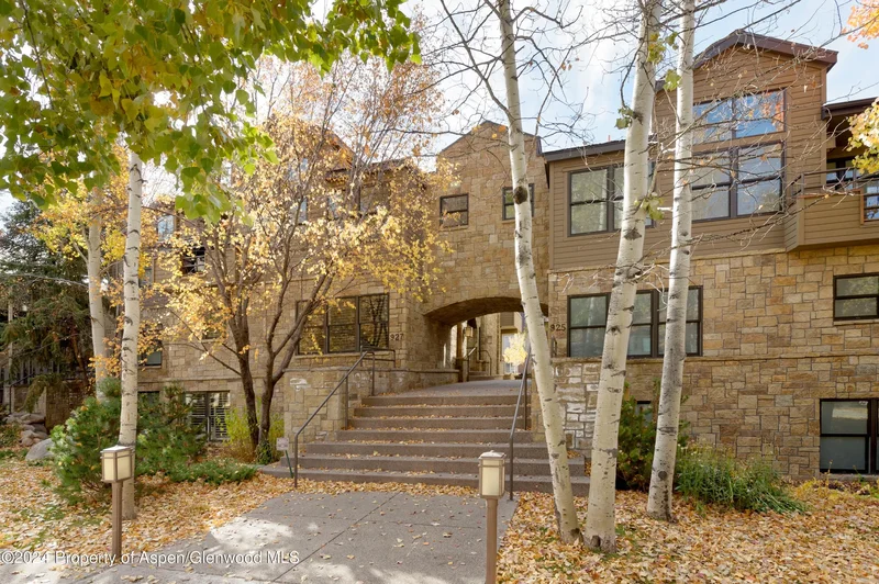 927 E Durant Avenue 3, Aspen, Colorado, United States. - Photo 25