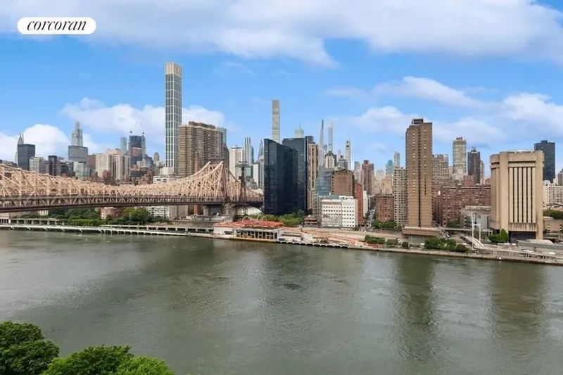 425 Main Street 14H, New York, NY 10044, New York, New York, United States. - Photo 22