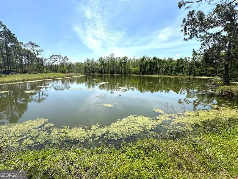 Valdosta, Georgia, United States. - Photo 36