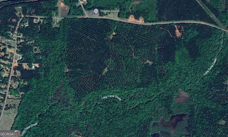 0 Cannonville Road, West Point, GA 31833, West Point, Georgia, United States. - Photo 4