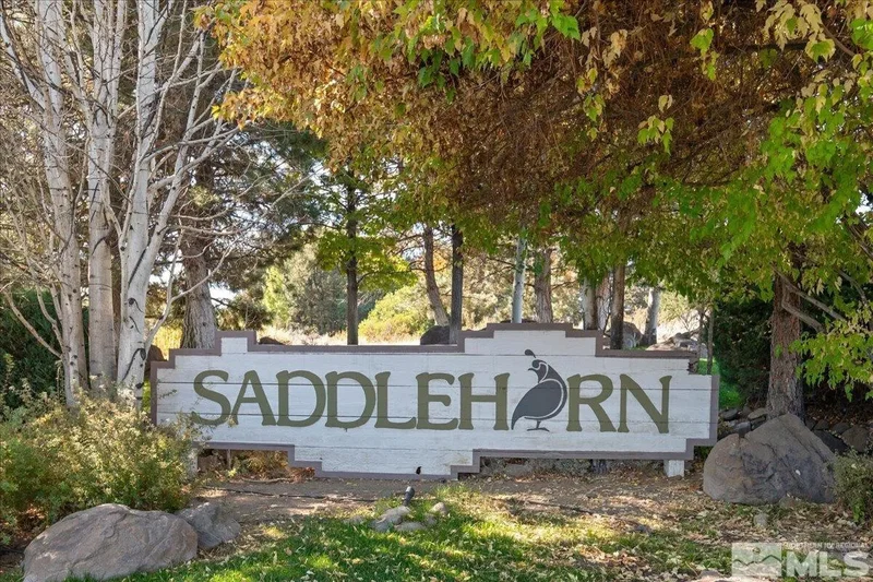 14535 S Quiet, Reno, NV 89511, Reno, Nevada, United States. - Photo 23