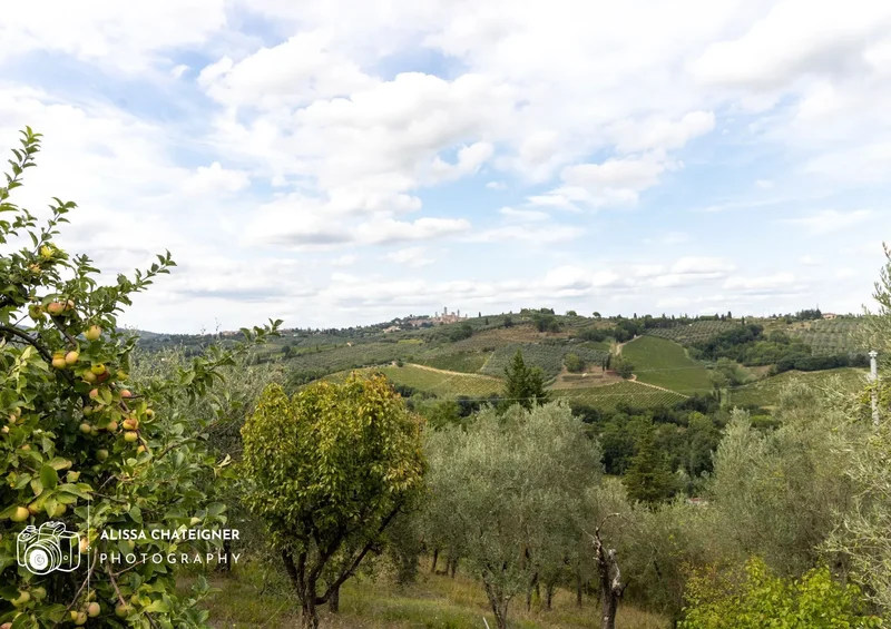 53037 San Gimignano, Province of Siena, Italy, San Gimignano, Tuscany, Italy. - Photo 3