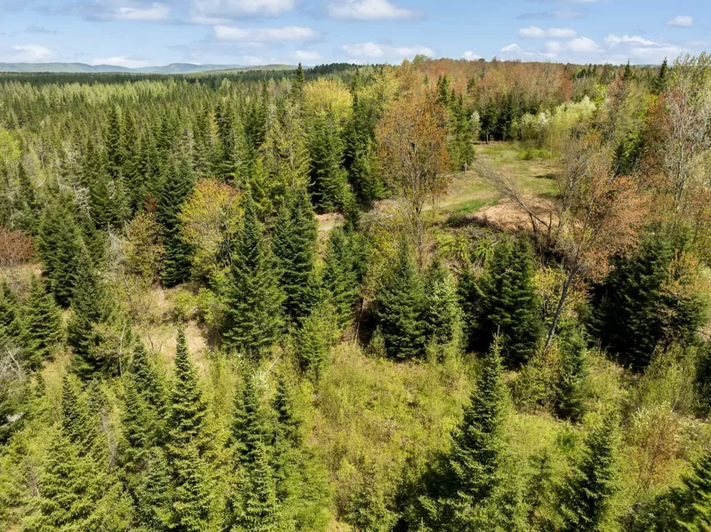 2550 Grand Rang, St-Raymond, Quebec, Canada. - Photo 23