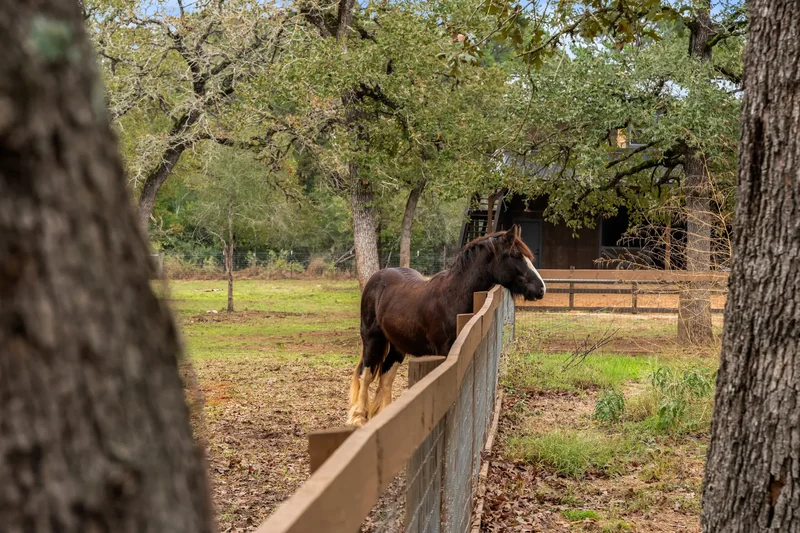 127 Marina Road , Smithville, TX 78957, Smithville, Texas, United States. - Photo 39