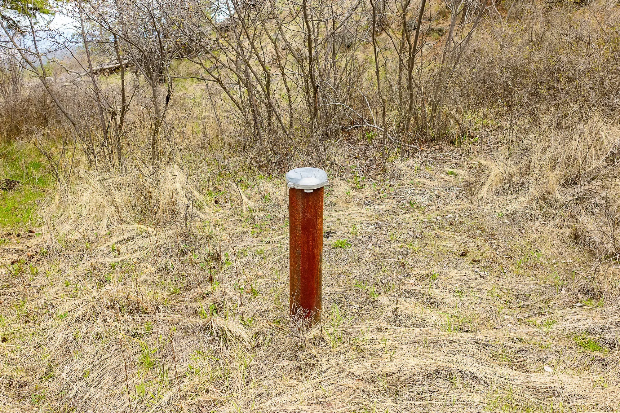 Gallery photo 6