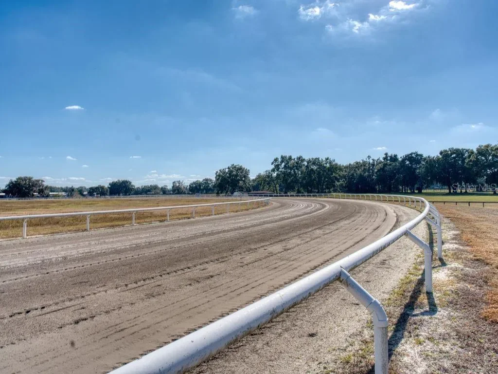1345 NE 155 PLACE, Reddick, Florida, United States. - Photo 33