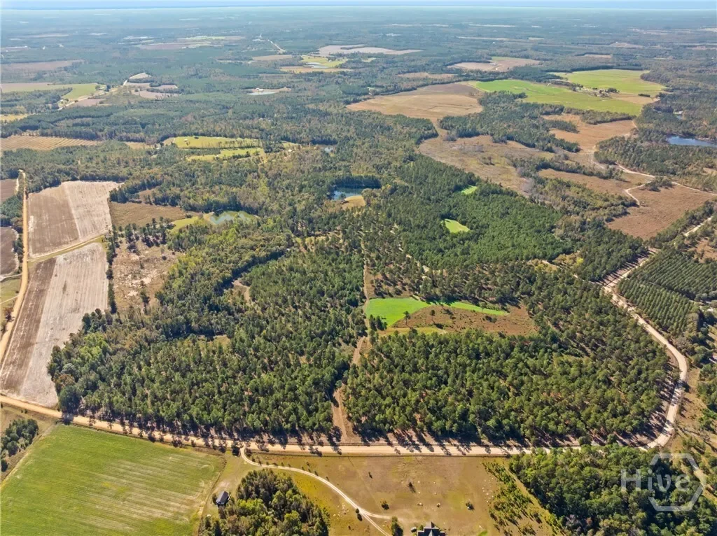 0 Honey Ridge Road, Millen, Georgia, United States. - Photo 55
