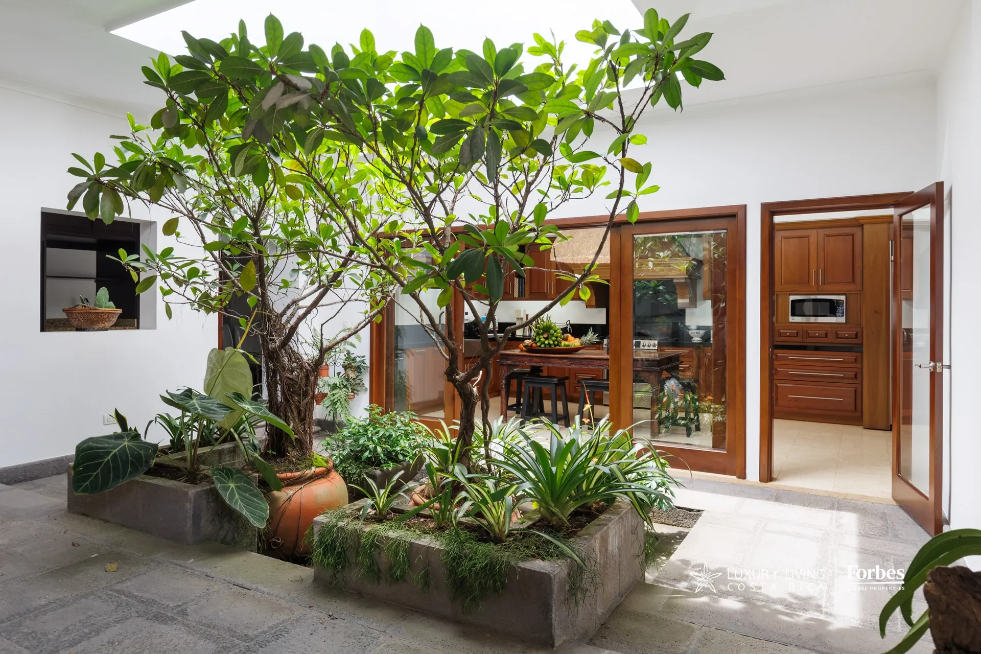 Gallery photo 12