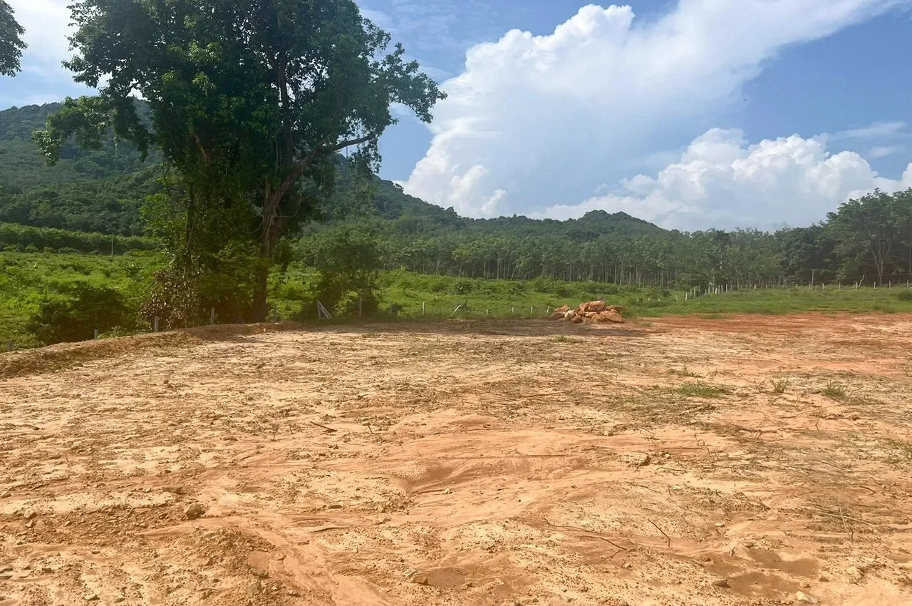 Krabi,, Ko Siboya, Krabi, Thailand. - Photo 6