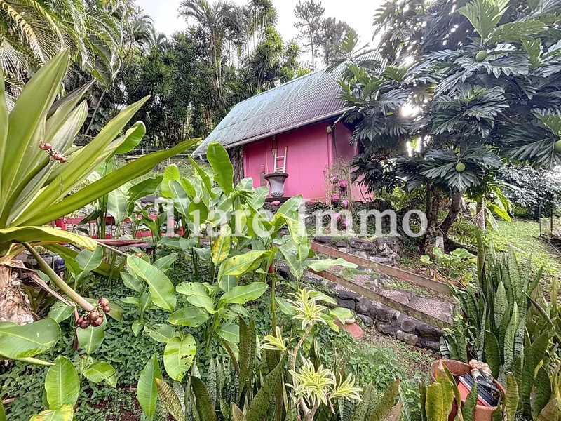 Taravao, Taravao, Windward Islands, French Polynesia. - Photo 3