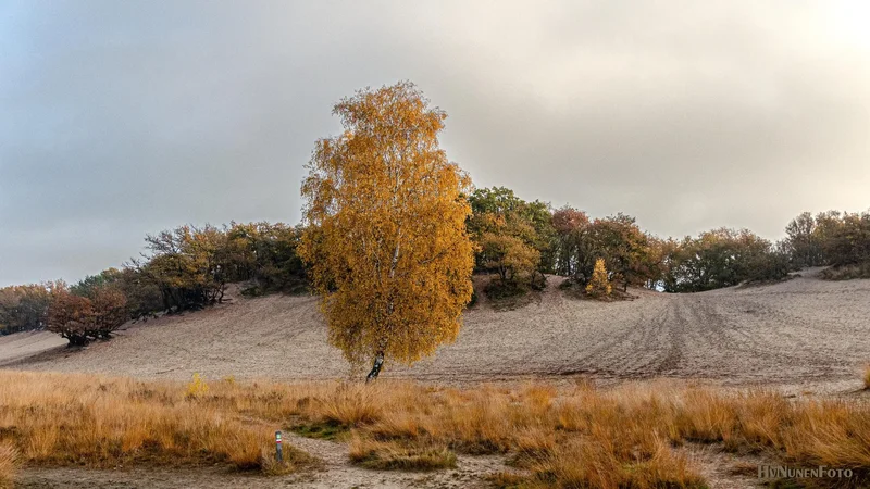 Bergweg 7, Uden, North Brabant, Netherlands. - Photo 65