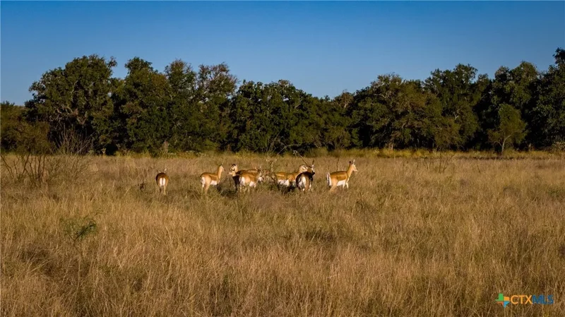 7702 Ranch Road 965, Llano, TX 78643, Llano, Texas, United States. - Photo 25