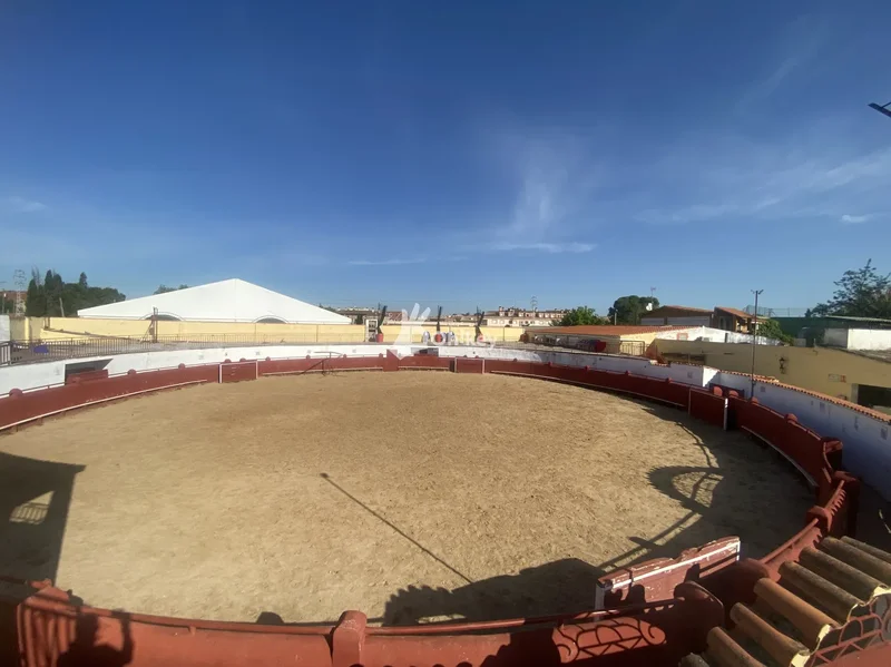 Avenida de los Cisneros, 18, Yeles, Castile-La Mancha, Spain. - Photo 16