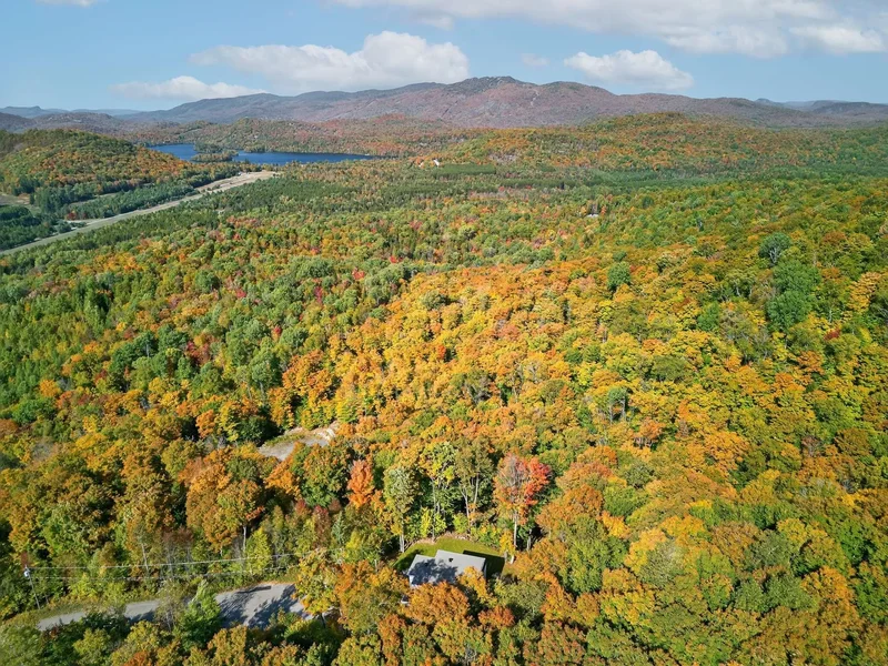 1330 Rue Patricia-Paré, Mont-Tremblant, Quebec, Canada. - Photo 35