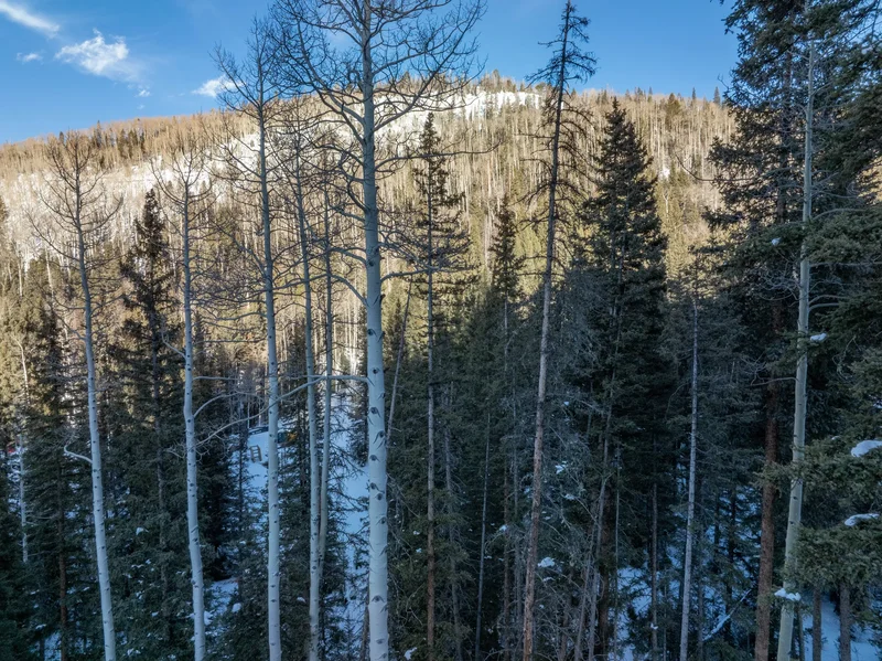 106 Cabins Lane , Mountain Village, CO 81435, Mountain Village, Colorado, United States. - Photo 10
