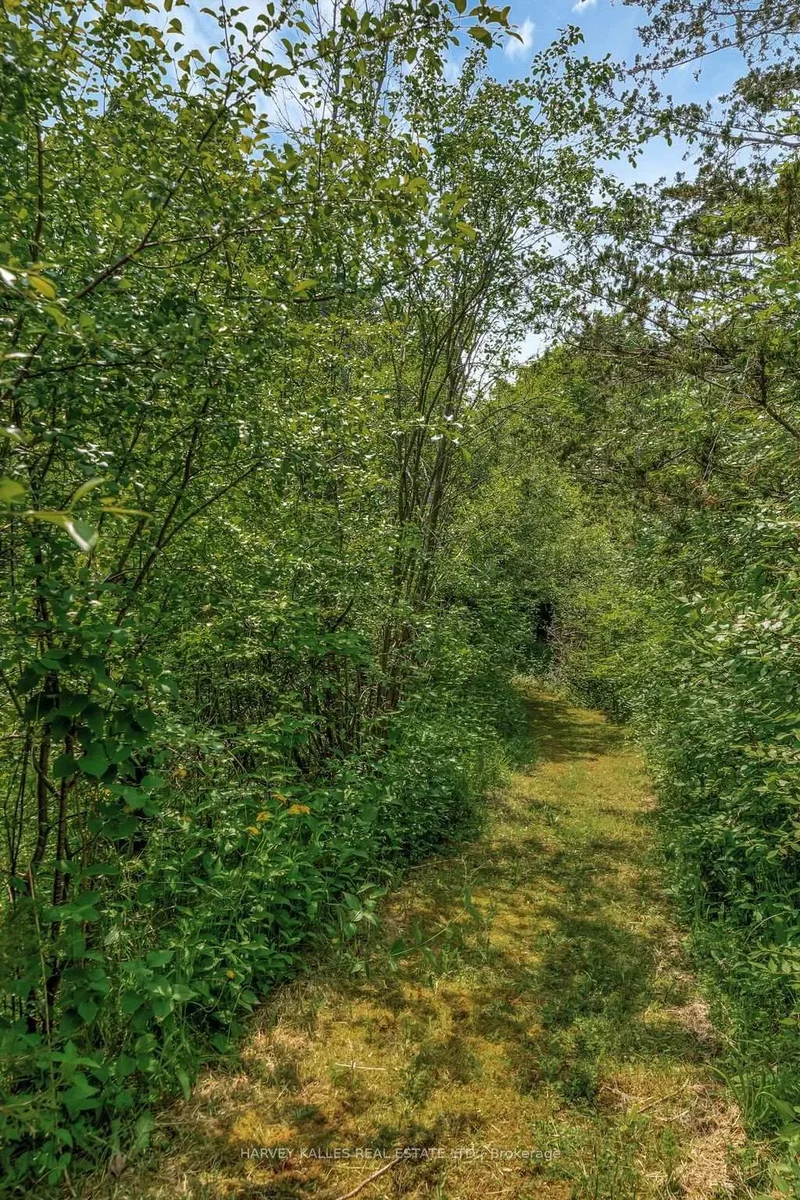 2992 County Rd 7 Road, Prince Edward County, ON, K0K 2T0, CANADA, Prince Edward, Ontario, Canada. - Photo 21