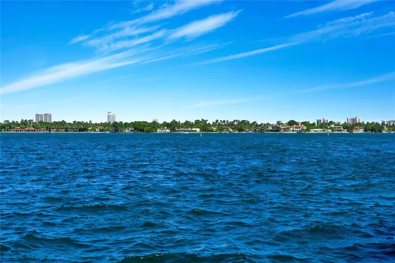 444 W Rivo Alto Dr, Miami Beach, Florida, United States. - Photo 43