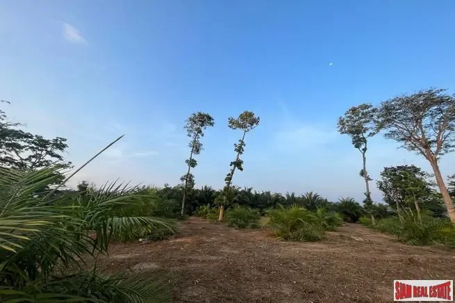 1 rai of palm plantation land with a hillside sea and mountain view for sale in Takua Thung, Phang N