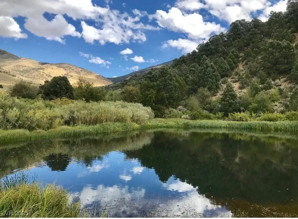 13300 Willard Creek Ranch Road, Osceola, Nevada, United States. - Photo 14