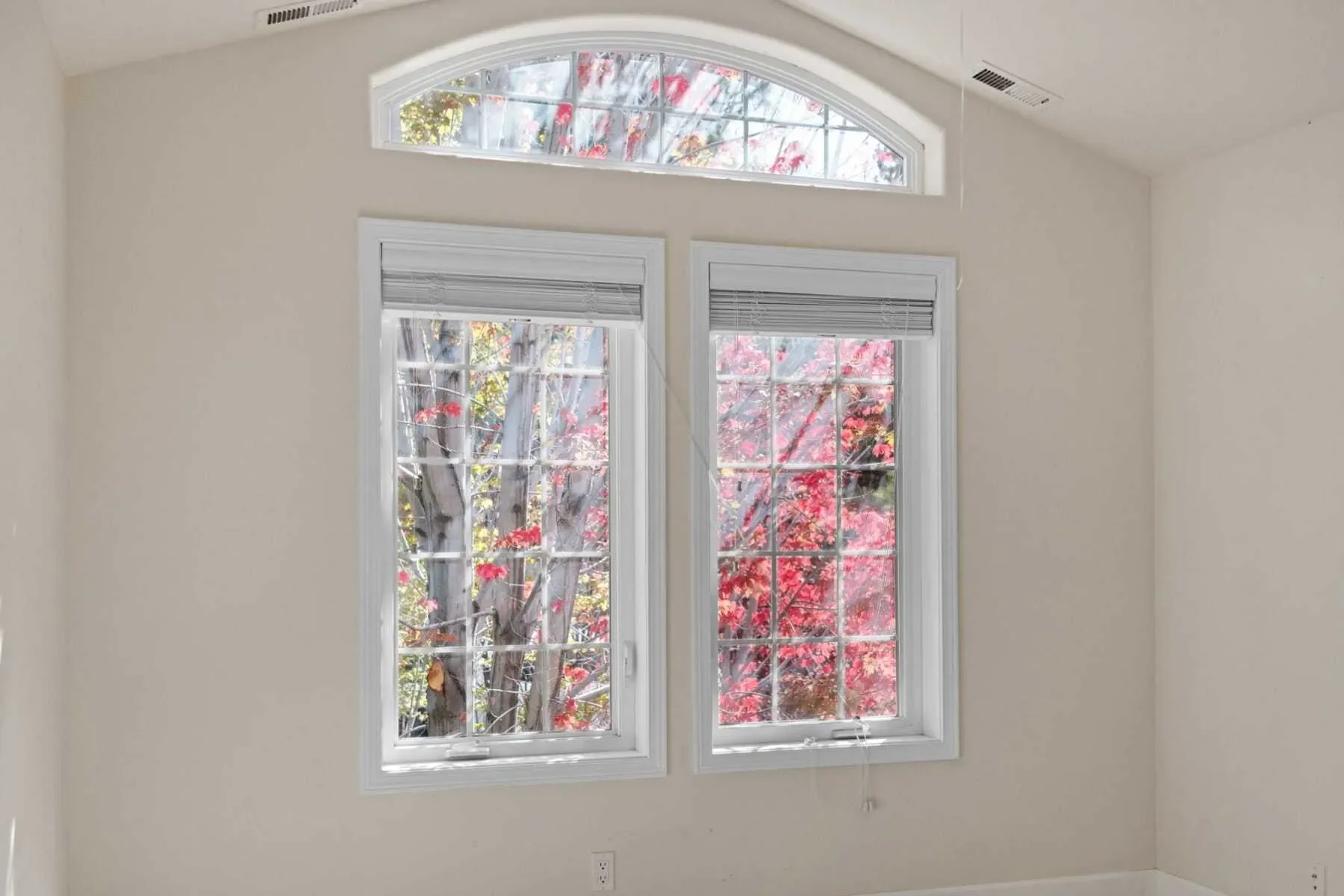Gallery photo 5