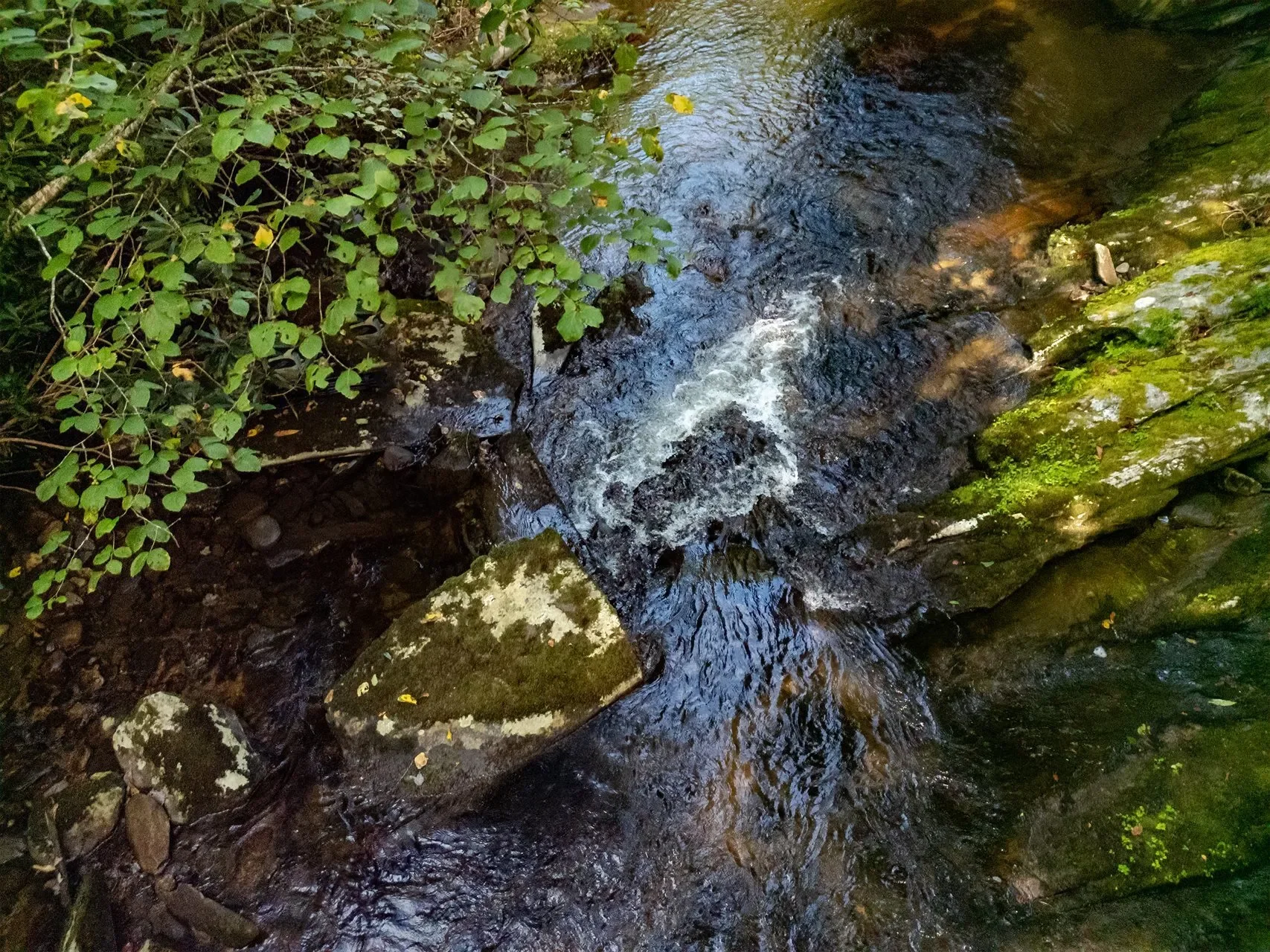 999 Robinson Creek, Glenville, NC, 28736, USA, 28736, North Carolina, United States. - Photo 24