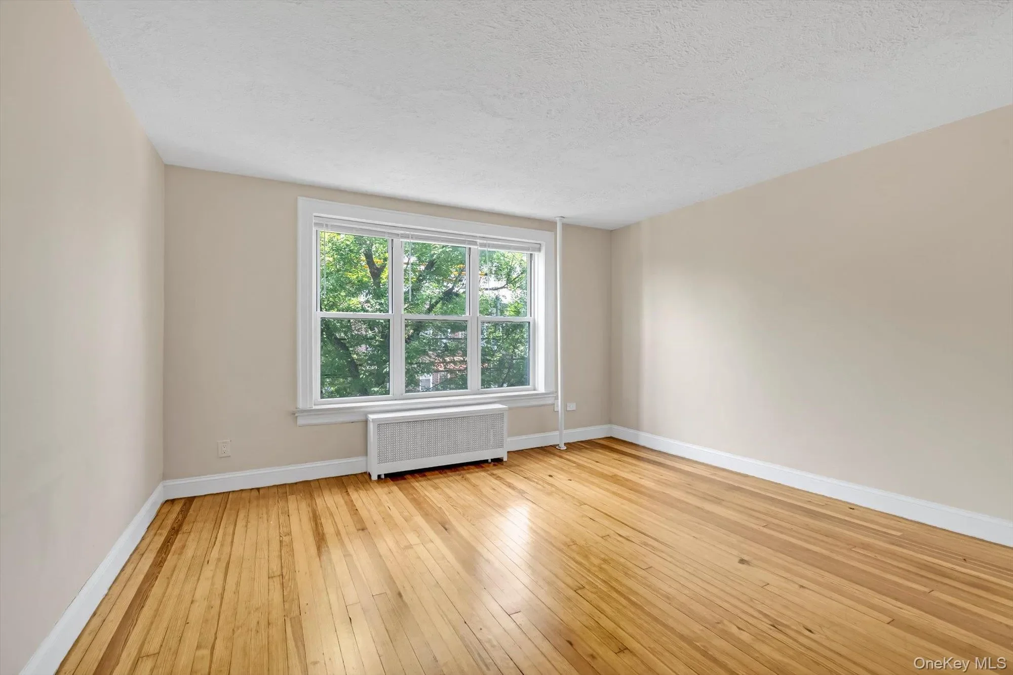 Gallery photo 2