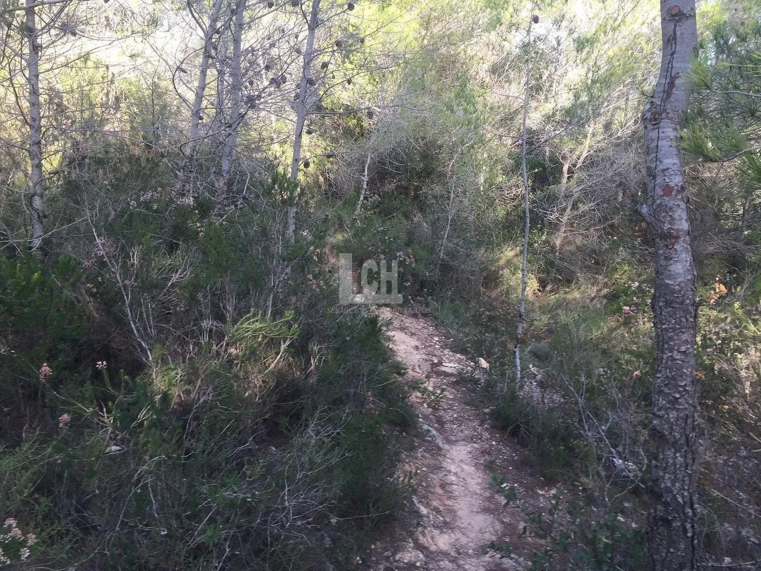 Favara, Valencian Community, Spain. - Photo 3