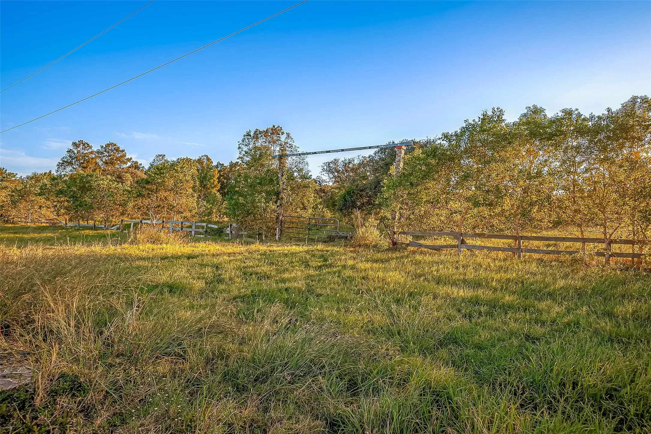2830 County Road 290, Angleton, TX 77515, Angleton, Texas, United States. - Photo 3