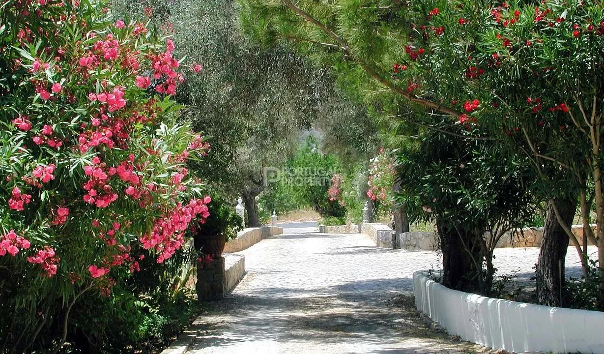 Estoi, Algarve, Estoi, Estoi, Algarve, Portugal. - Photo 30