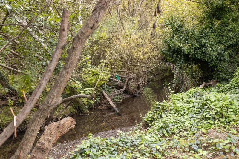 1416 Flores Drive, Pacifica, California, United States. - Photo 17