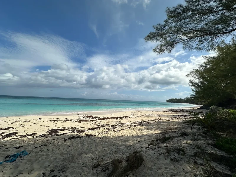 Lot 7 Poponi Beach Banks Road, Palmetto Point, North Palmetto Point, Central Eleuthera, The Bahamas. - Photo 24