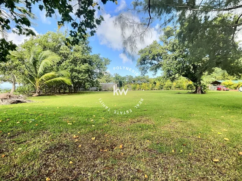 Moorea-Maiao, Moorea-Maiao, Moorea-Maiao, Windward Islands, French Polynesia. - Photo 5