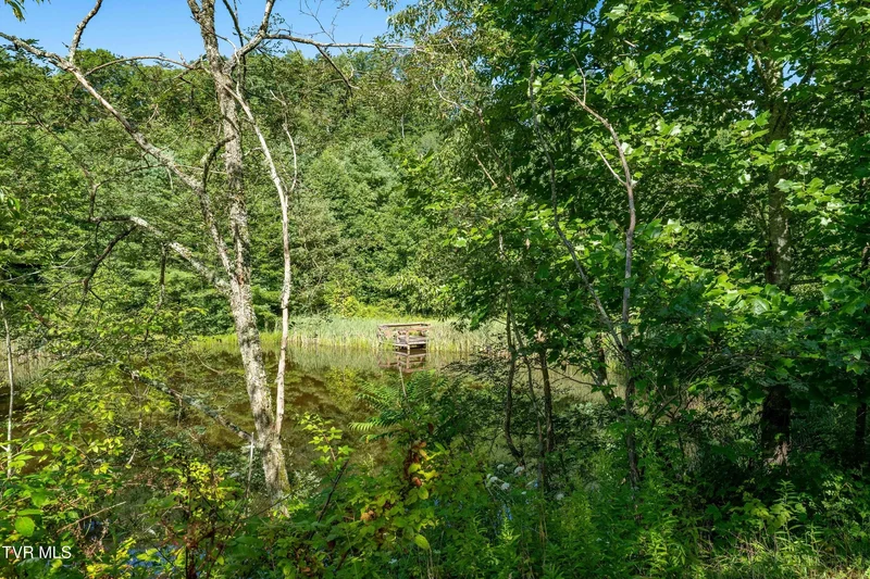 306 Bear Branch Rd, Roan Mountain, TN 37687, Roan Mountain, Tennessee, United States. - Photo 25