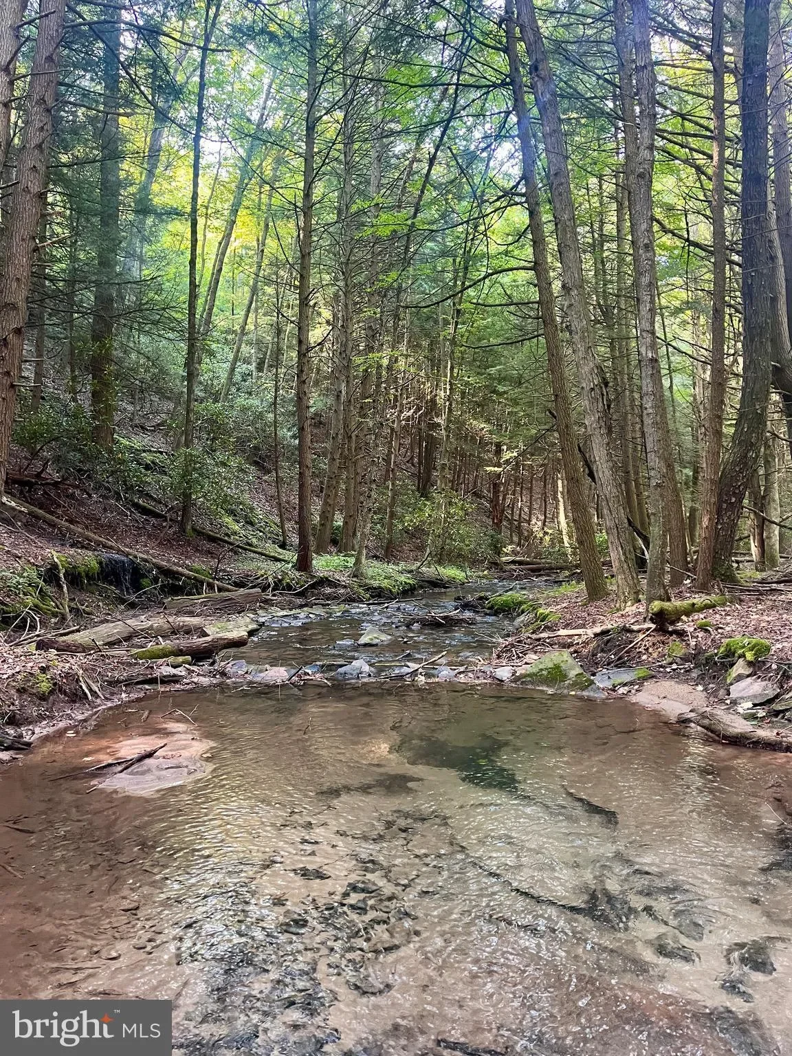 6 BEECH CREEK MOUNTAIN RD ROAD, BEECH CREEK, PA 16822, Monument, Pennsylvania, United States. - Photo 7